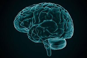 BRAIN-Awards