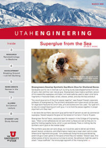  Newsletter - Spring 2009 