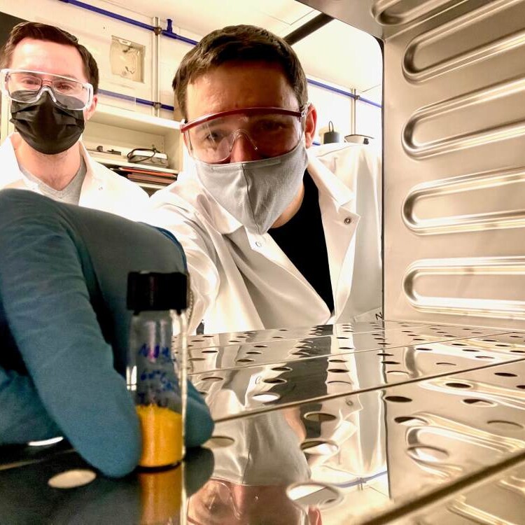 Researchers in masks and gloves hold a vial full of a yellow powder.