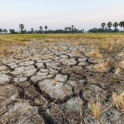 Dry soil with deep cracks