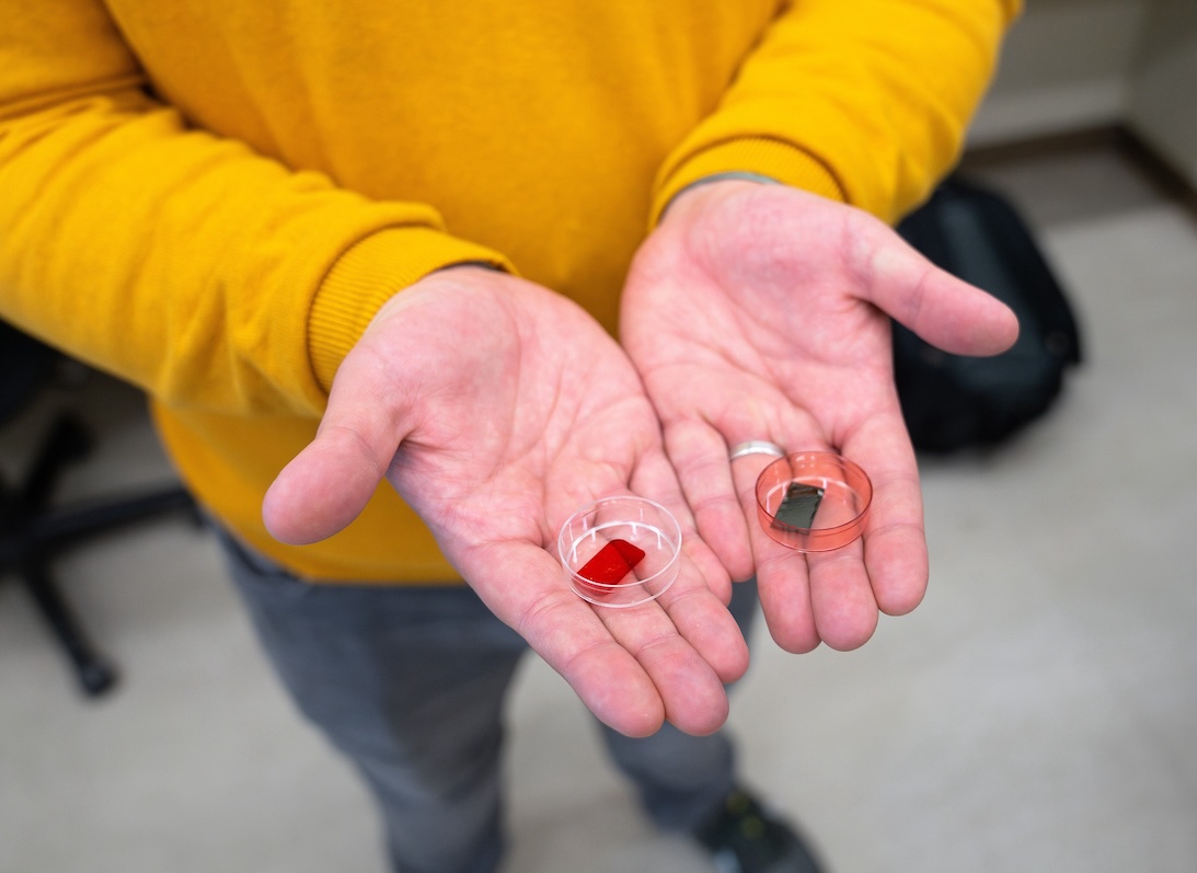 A person holds two samples, one red, one blue, in side-by-side Petri dishes